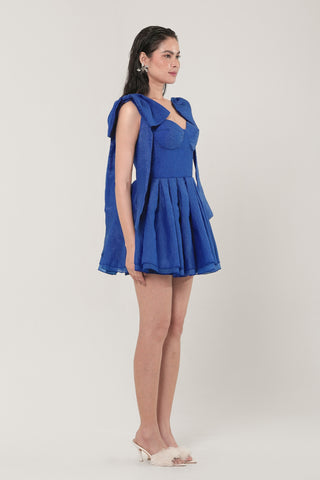Sophie Fit & Flare Dress