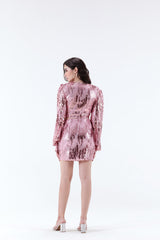Emily Sequins Mini Skirt