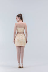 Evianna Mini Skirt