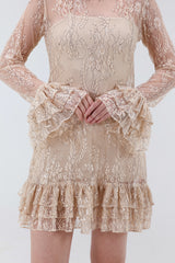 Angelica Lace Mini Dress