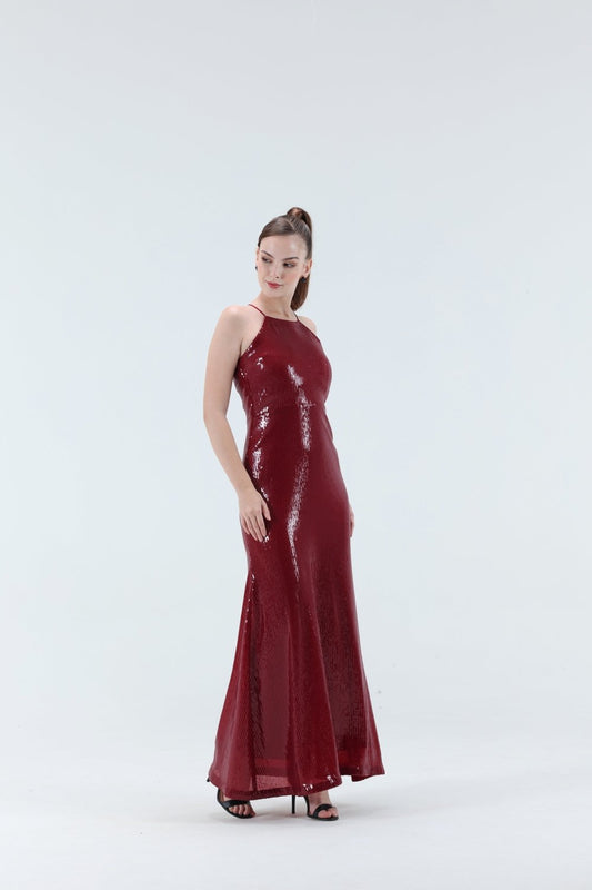 Susana Sequence Maxi Dress - Xaya